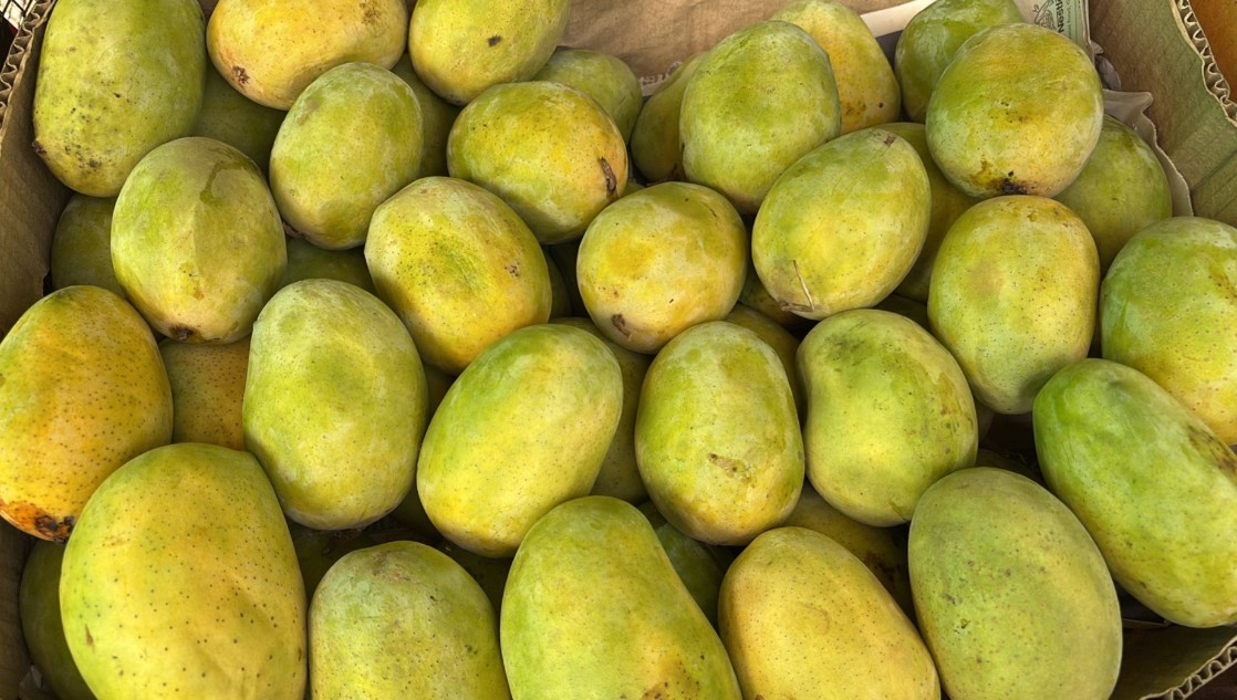 Mango-Langda Aam